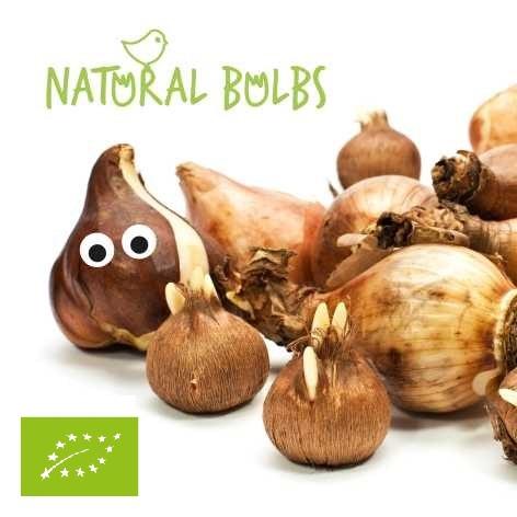 (c) Naturalbulbs.be