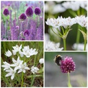 Hete Karamel Bijenpakket - BIO