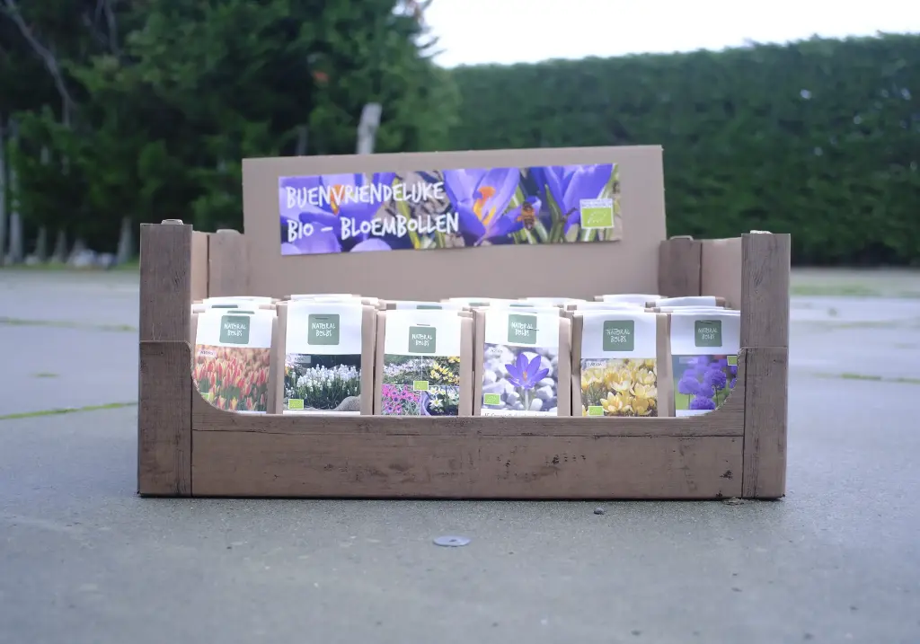 Vente Automne pour ABEILLES 36 p - BIO