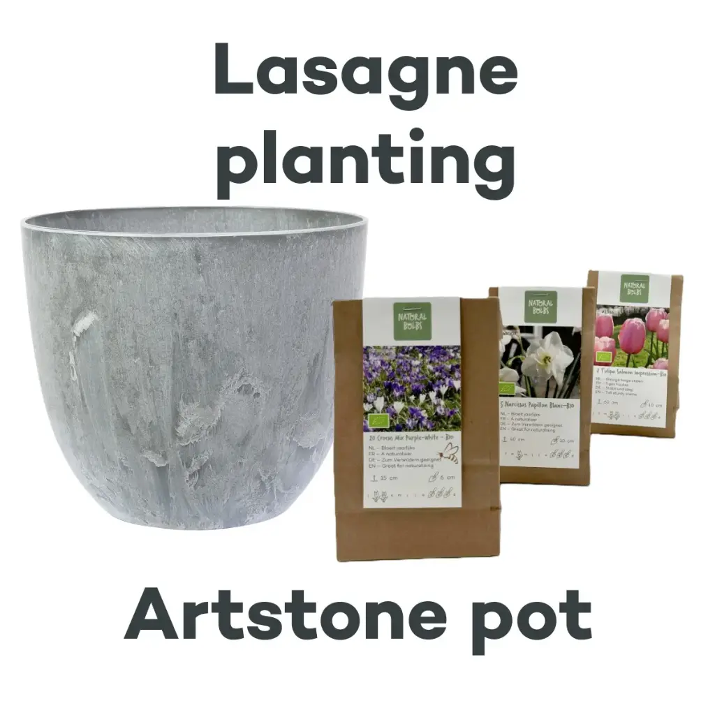Collection Lasagne avec pot Artstone Gris - BIO