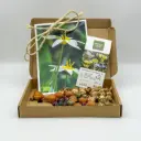 Cadeau doosje Verwilderingsmix 40 ST - BIO 
