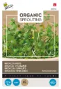 Cresson de brocoli - Pousses - BIO