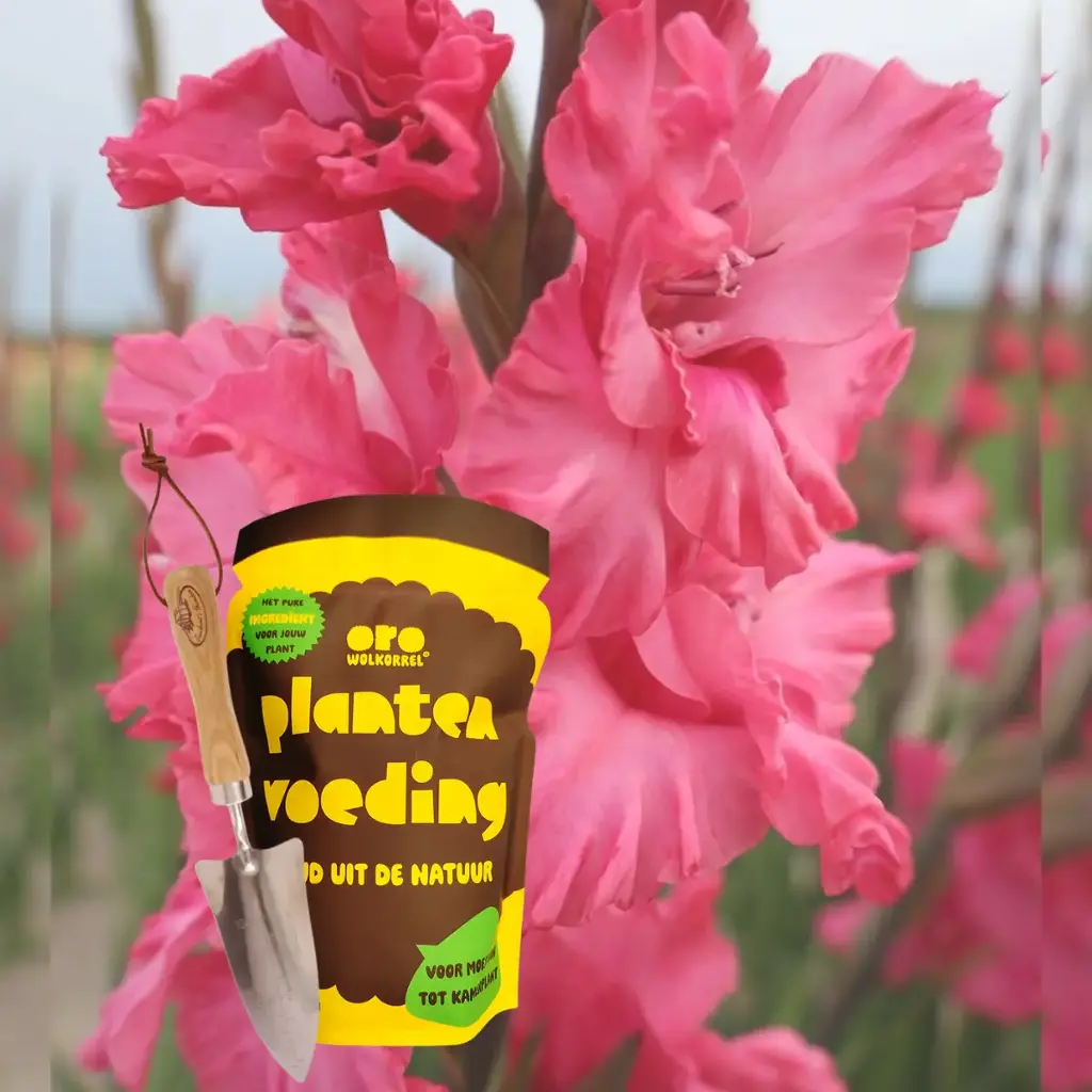 Compleet Cadeausetje voor Mama - BIO