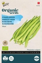 Haricot nain Maxi - BIO