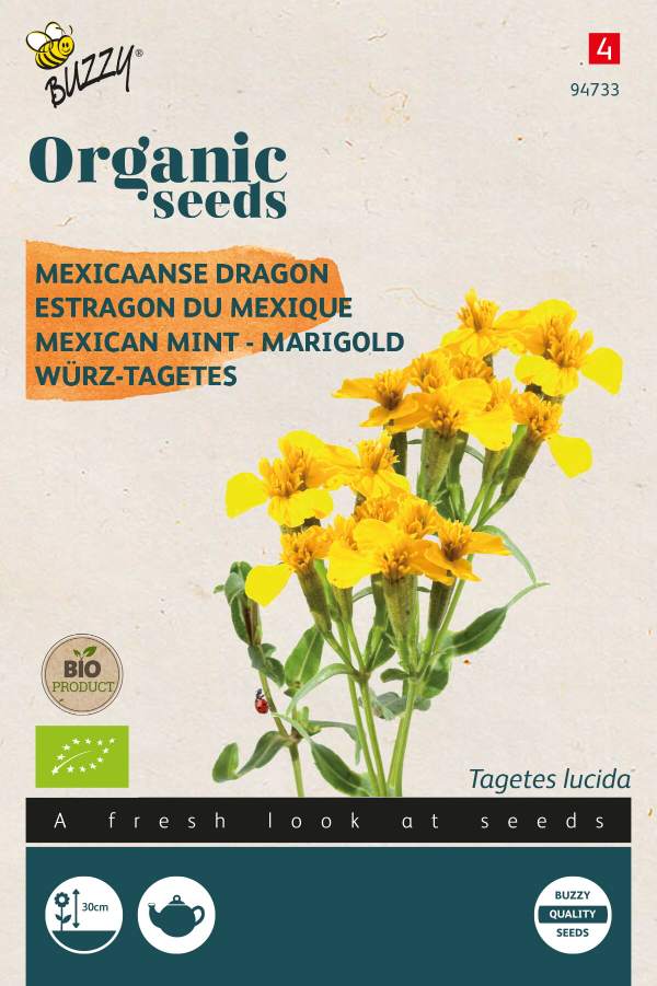 Mexicaanse Dragon - BIO