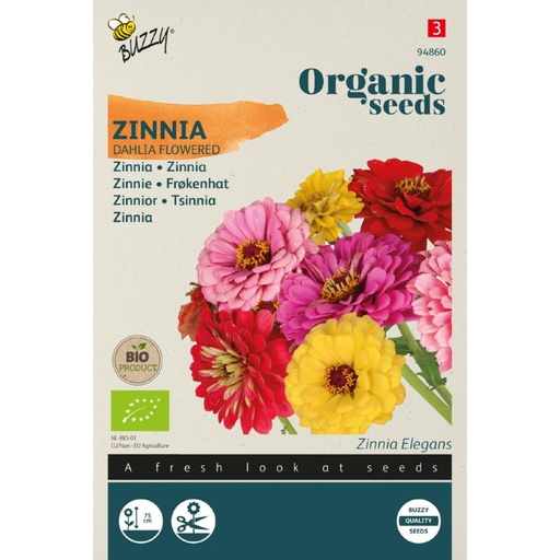 [Buzzy-94860] Zinnia à fleur de Dahlia - BIO