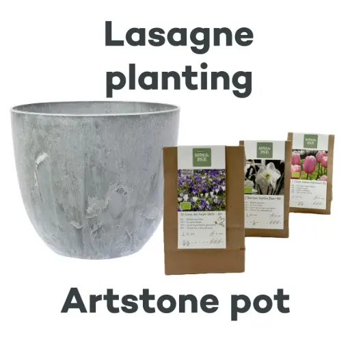 [AC99093] Collection Lasagne avec pot Artstone Gris - BIO