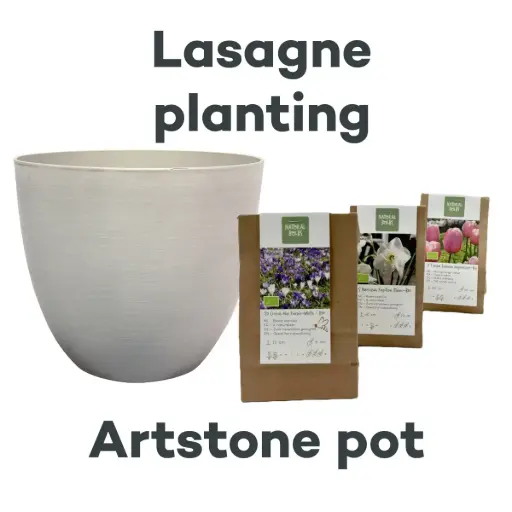 [AC99095] Bollenlasagne met Artstone pot Cloudy - BIO 