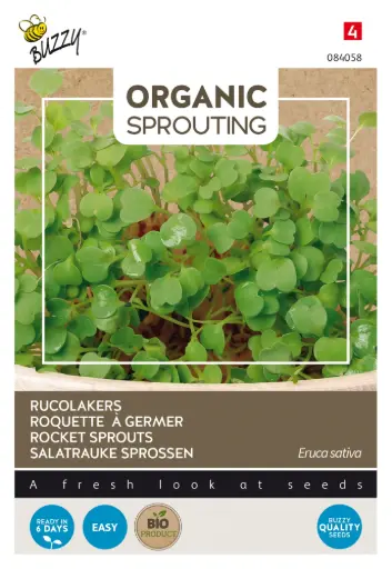 [Buzzy-084058] Roquette à germer - Pousses - BIO