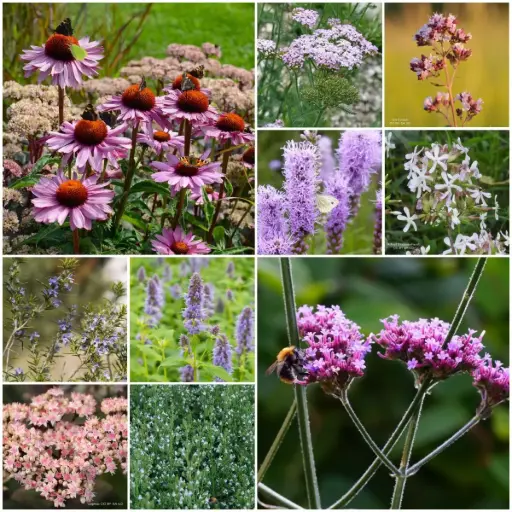 [B7901] Kit de décapage de dalles pour parterre de jardin Soleil 4 m² - BIO