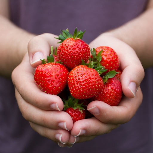 [B8074-Moeder] Aardblije Aardbeien Mama - BIO