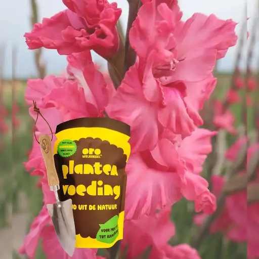 [BC99004-moeder] Compleet Cadeausetje voor Mama - BIO